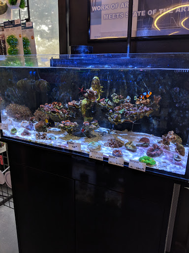 Pet Store «Mandarin SeaLife», reviews and photos, 9633 Old St Augustine Rd #2, Jacksonville, FL 32257, USA