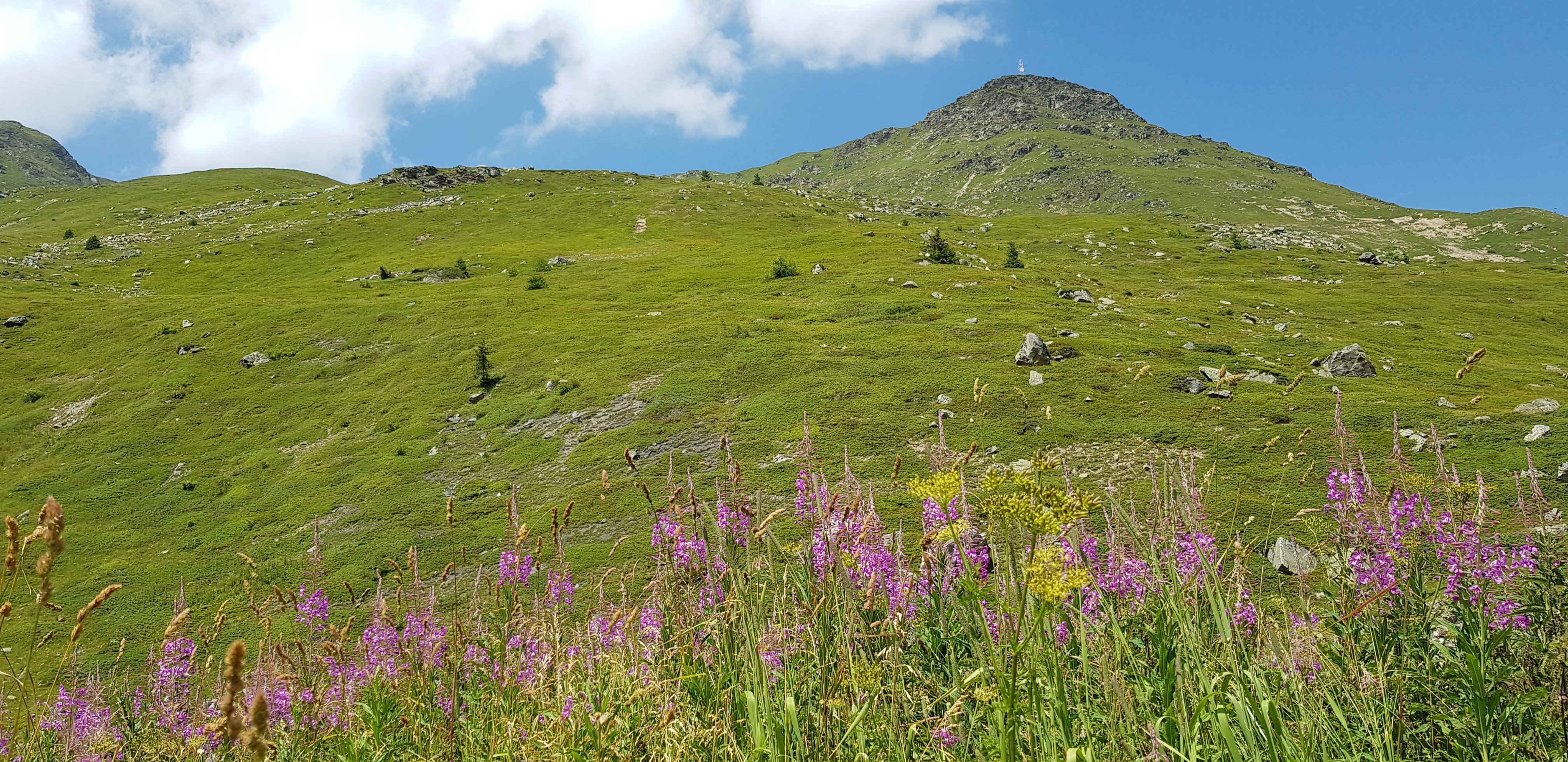 Photo n° 3 de l'avis de Gwenns. fait le 15/08/2018 à 10:35