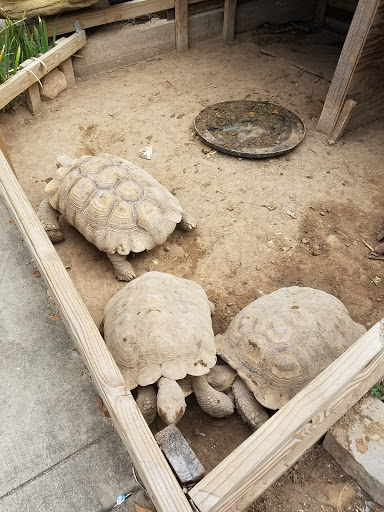 Pet Store «Fish-N-Pets Unlimited», reviews and photos, 11710 Bissonnet St, Houston, TX 77099, USA