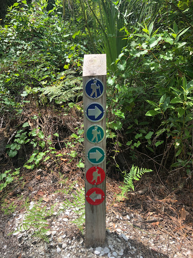 Park «Lake Rogers Park», reviews and photos, 9010 N Mobley Rd, Odessa, FL 33556, USA