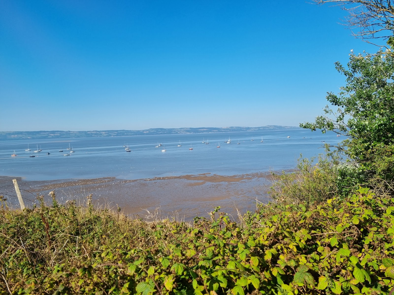 Caldy Beach photo #8