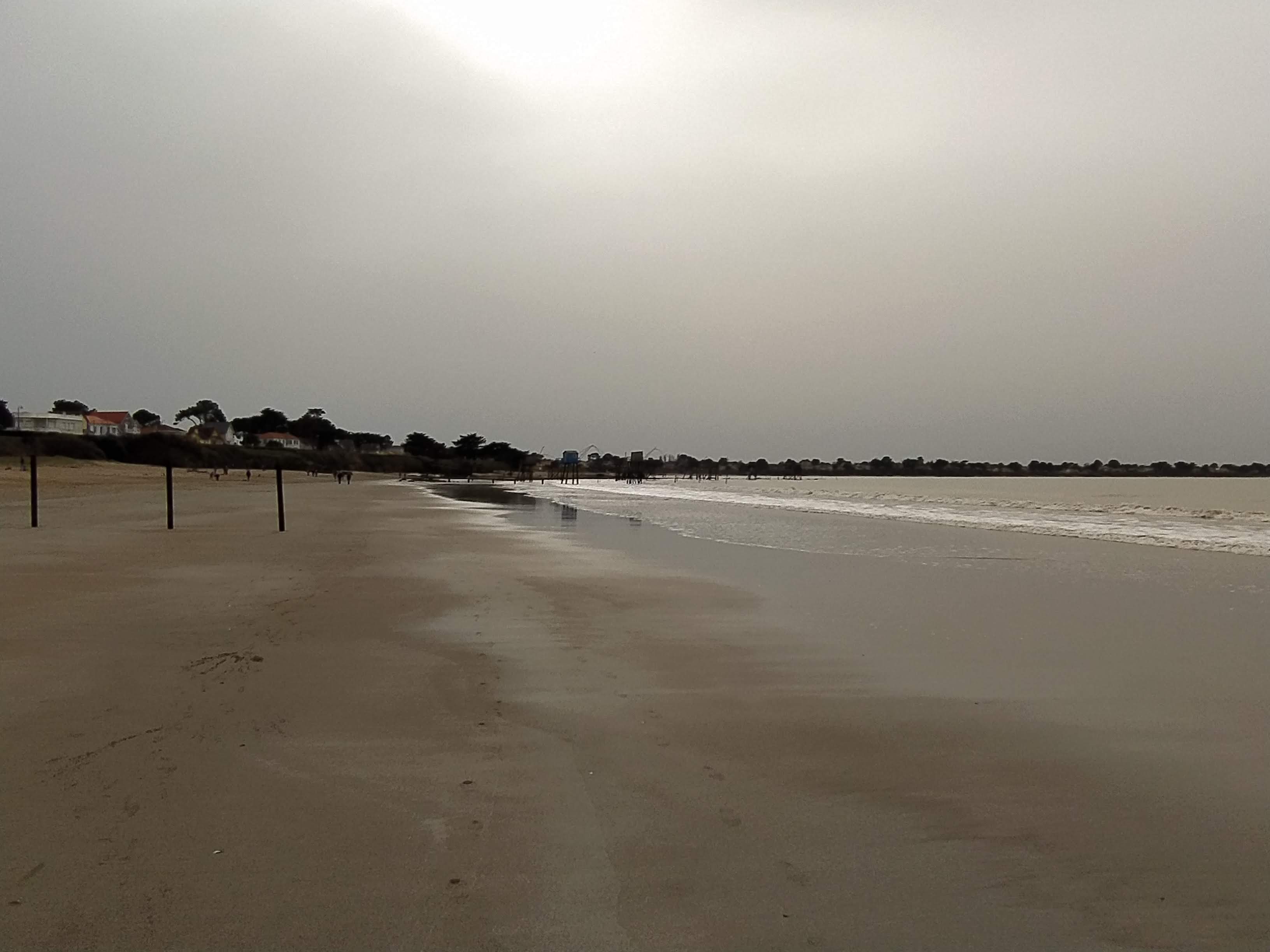 Photo n° 1 de l'avis de sylvain.a fait le 09/03/2021 à 15:37