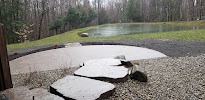 Pace Landscaping - Photo 4 - Car repair in Blasdell, NY, Buffalo