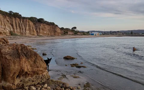 Dog Friendly Beach - Tassells Cove image