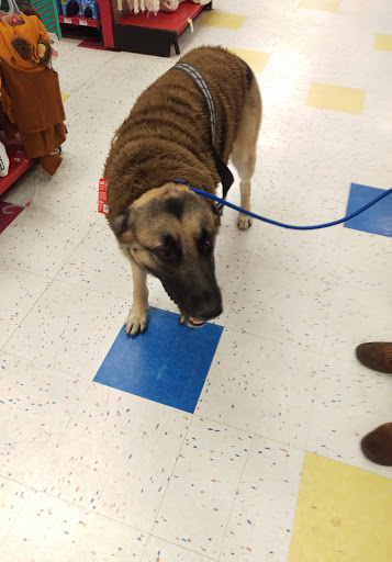 Pet Supply Store «Petco Animal Supplies», reviews and photos, 1591 Sloat Blvd, San Francisco, CA 94132, USA