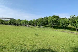 Shimizudani Park image