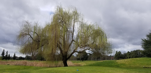 Golf Course «Creekside Golf Course», reviews and photos, 701 Lincoln Ave, Modesto, CA 95354, USA