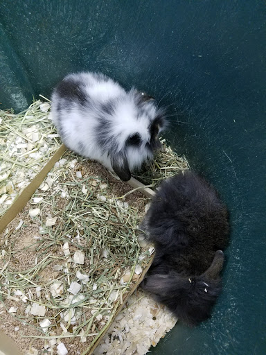 Pet Store «Pet Station Reno», reviews and photos, 5065 S McCarran Blvd, Reno, NV 89502, USA