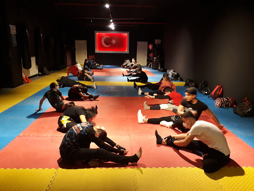 Dövüş Sanatları Kulübü Ankara