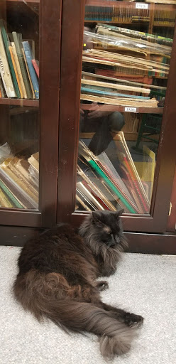 Used Book Store «Atlanta Vintage Books», reviews and photos, 3660 Clairmont Rd, Atlanta, GA 30341, USA