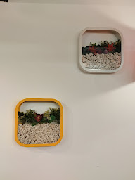 Photo n°66 de Délice food à Toulouse ()