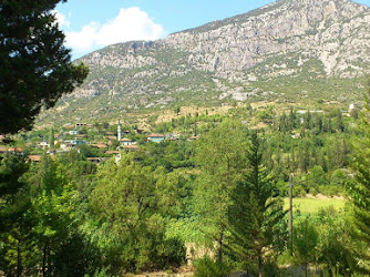 Sinan Hoca Köyü Köy Muhtarlığı