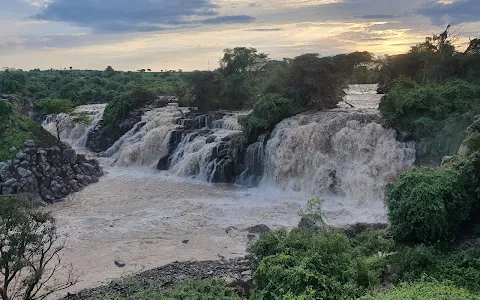 Awash National Park image