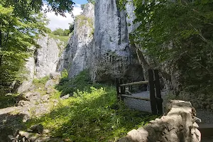 Upper Cave Wierzchowska image
