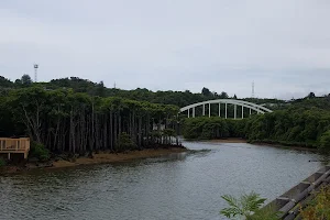 Million River Mangroves image