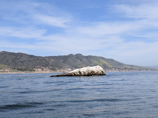 Shopping Mall «Pismo Coast Shopping Plaza», reviews and photos, 555 5 Cities Dr, Pismo Beach, CA 93449, USA