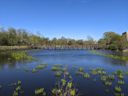 Alewife Brook Pathway