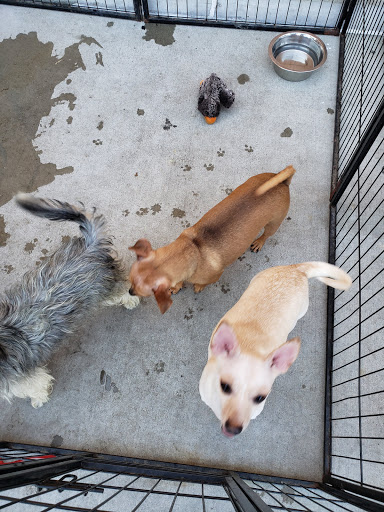 Pet Supply Store «PetSmart», reviews and photos, 5521 Mirage St, Yorba Linda, CA 92887, USA