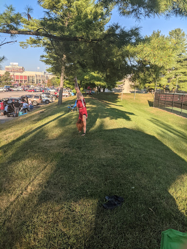 Arena «Mccracken Court at Simon Skjodt Assembly Hall», reviews and photos, 1001 E 17th St, Bloomington, IN 47408, USA