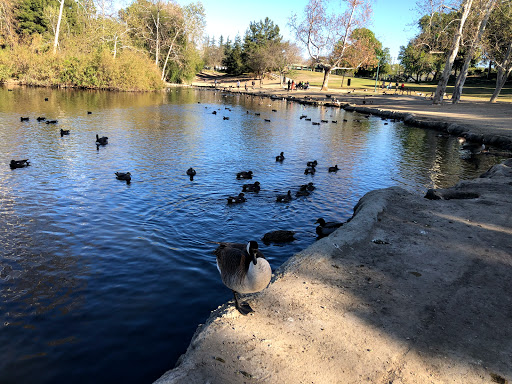 Rancho Simi Park Lake