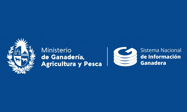 MINISTERIO DE GANADERIA, AGRICULTURA Y PESCA - Ciudad de la Costa