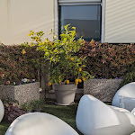 Photo n°2 de l'avis de Hiltrud.� fait le 16/03/2024 à 17:37 sur le  MaisonMe Boutique Hotel à Bardolino