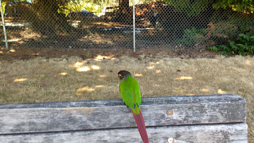 Dog Park «Chapin Park», reviews and photos, 338 Warner Parrott Rd, Oregon City, OR 97045, USA