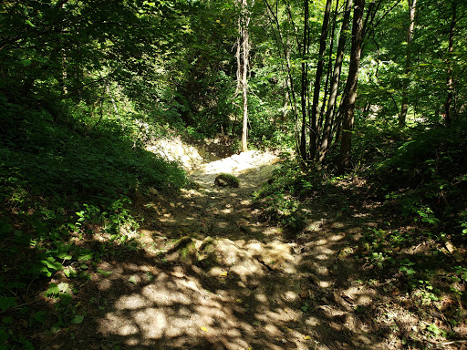 Ski Resort «Welch Village Ski & Snowboard Area», reviews and photos, 26685 County 7 Blvd, Welch, MN 55089, USA