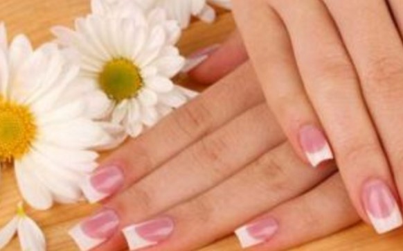 Wynnewood Nails & Spa 19096