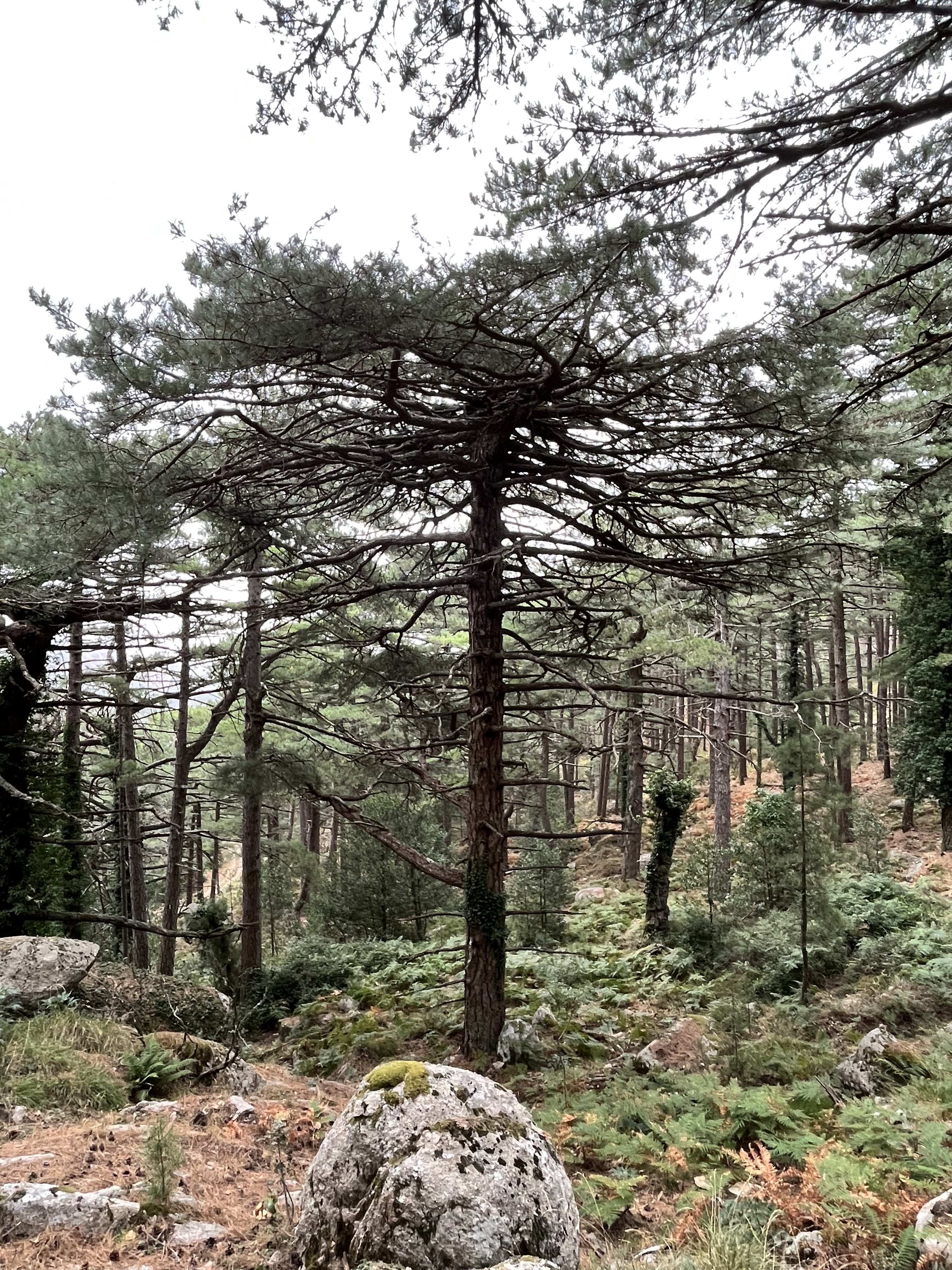 Photo n° 1 de l'avis de Maxime. fait le 18/09/2023 à 19:42
