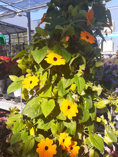 Home Improvement Store «The Home Depot», reviews and photos, 24332 El Toro Rd, Laguna Hills, CA 92653, USA