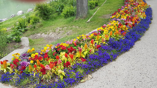 Beautiful parks in Calgary