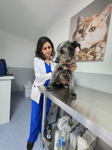 Centro Oncológico Veterinario Santiago (COV Santiago)