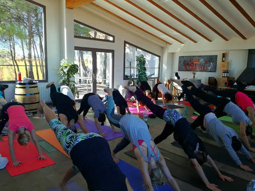 Yoga With Jennison In Valencia Spain