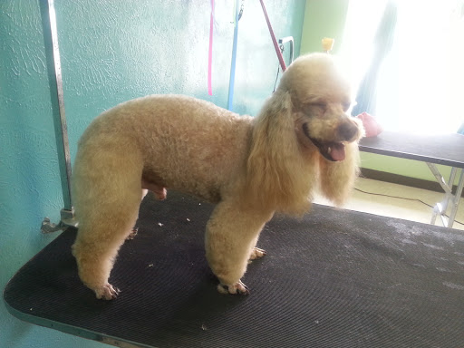 Pet Supply Store «McFaith Feed & Pet Supplies», reviews and photos, 4702 Paris Ave, New Orleans, LA 70122, USA