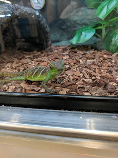 Pet Supply Store «Petco Animal Supplies», reviews and photos, 190 Quality Dr, Hooksett, NH 03106, USA