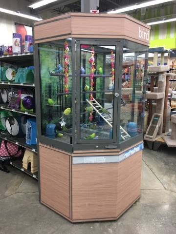 Pet Supply Store «Petco Animal Supplies», reviews and photos, 635 Cibolo Valley Drive #149, Cibolo, TX 78108, USA