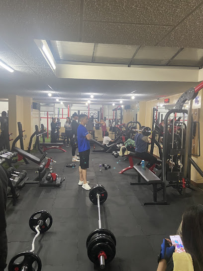 Friends Fitness Gym - Buenos Aires Oe3-210, Quito 170103, Ecuador