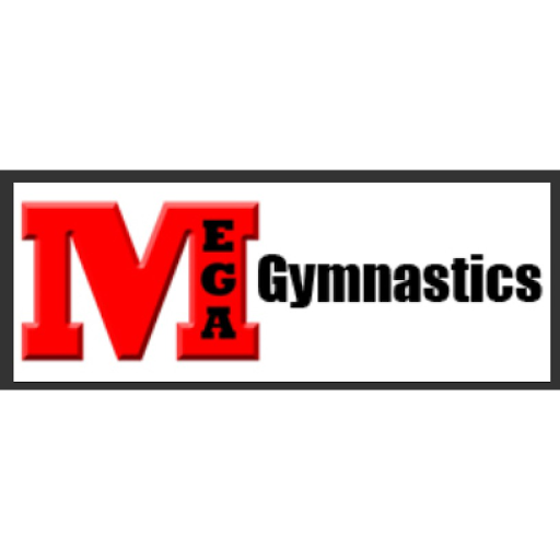 Gymnastics Center «Midwest Elite Gymnastics Academy», reviews and photos, 410 Airport Rd, Elgin, IL 60123, USA