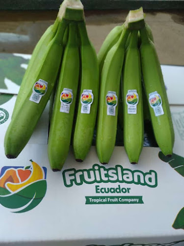 Opiniones de Fruitsland Ecuador en Guayaquil - Oficina de empresa