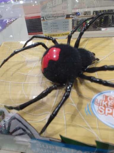 Home Improvement Store «Menards», reviews and photos, 2333 S Cicero Ave, Cicero, IL 60804, USA