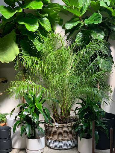 Florist «Englewood Florist, Inc.», reviews and photos, 47 E Palisade Ave, Englewood, NJ 07631, USA