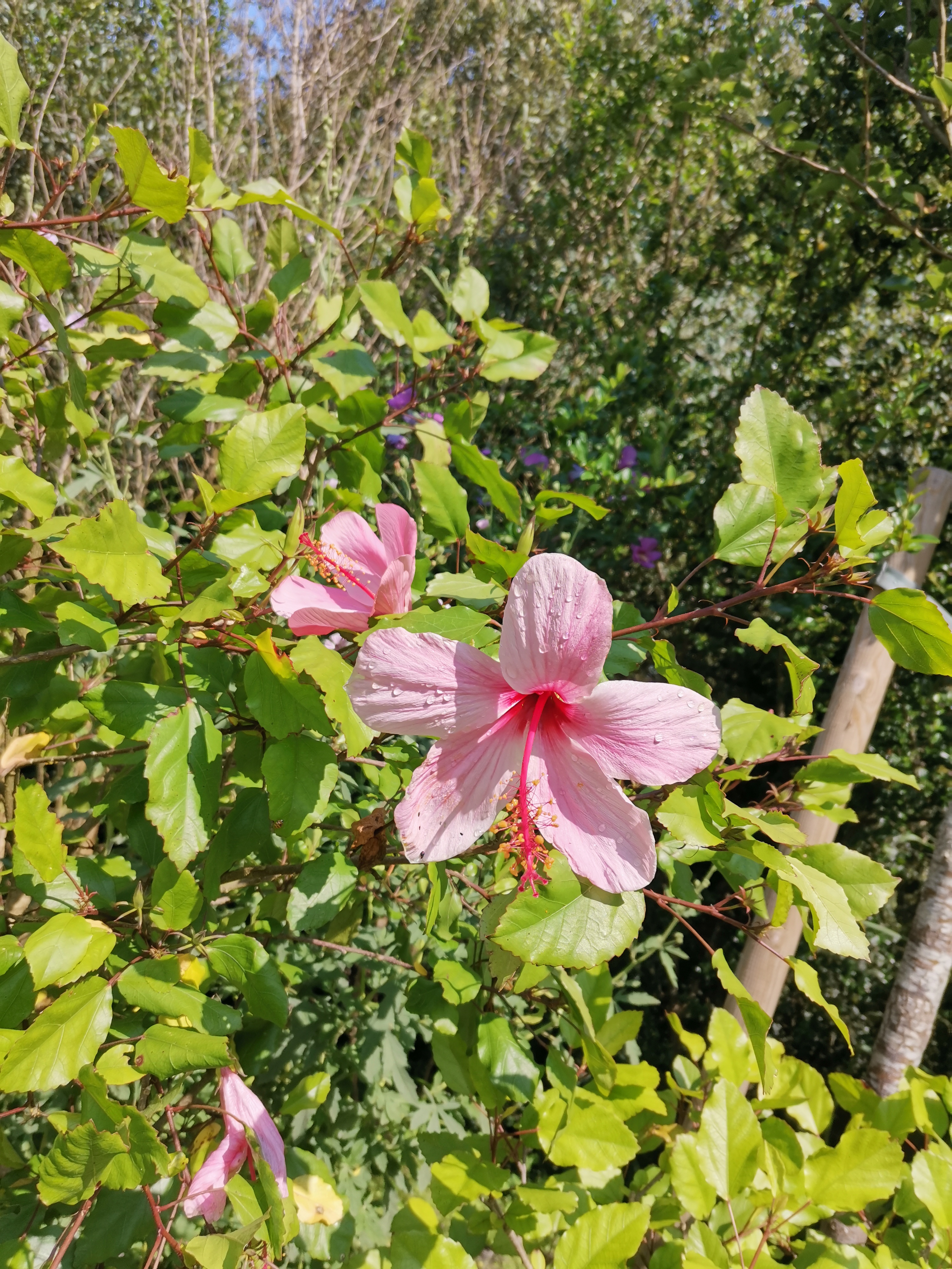 Photo n° 5 de l'avis de Elsa.a fait le 24/07/2021 à 11:38