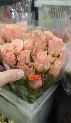 Florist «San Antonio Flower Co», reviews and photos, 7538 Broadway St, San Antonio, TX 78209, USA