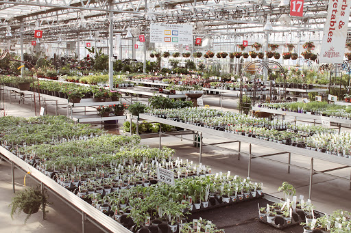 Wholesale plant nursery Independence