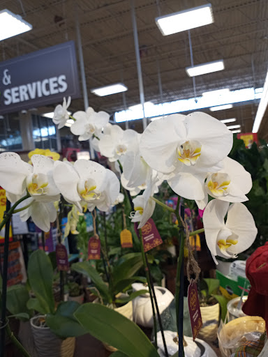 Florist «BAKERS BLACK TIE FLORIST», reviews and photos, 3779 Campbellton Rd SW, Atlanta, GA 30331, USA