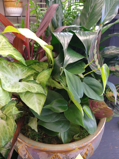 Florist «Grace Harper Florist, Inc.», reviews and photos, 4135 Woodward Ave, Detroit, MI 48201, USA