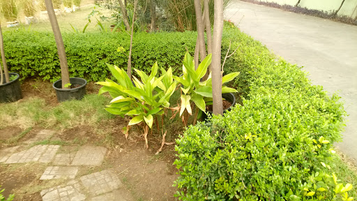 Omar Gardens, Plot 11, Layi Yussuff Crescent,, Lekki, Nigeria, Landscaper, state Ogun