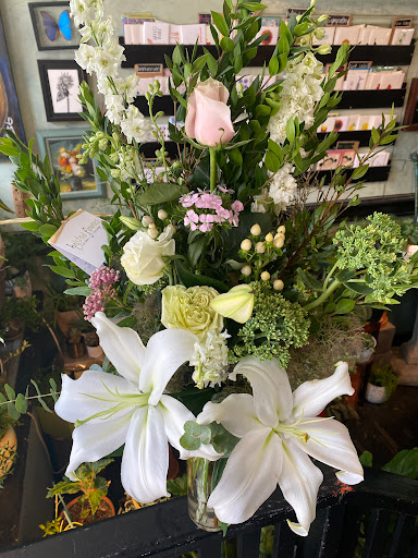 Florist «Halsted Flowers, LLC», reviews and photos, 2725 N Halsted St, Chicago, IL 60614, USA
