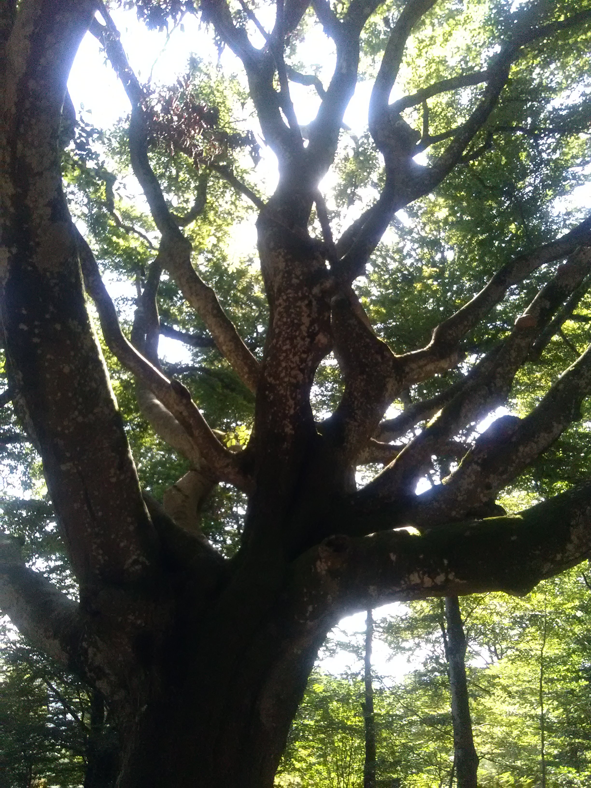 Photo n° 5 de l'avis de GoutteGoutte.. fait le 10/09/2019 à 20:02